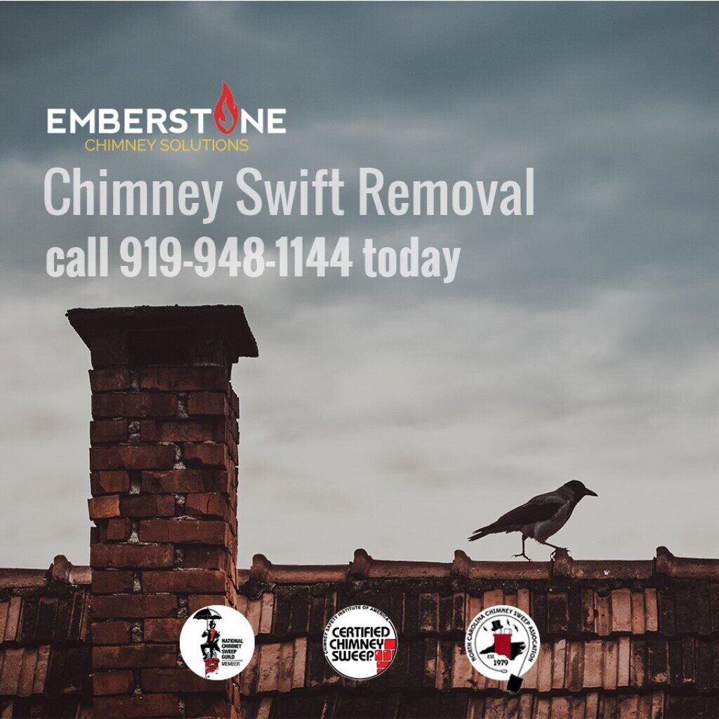 What Is The Most Common Bird In Chimneys 2023? What Is The Most Common Bird In Chimneys chimney swifts may cause you problems this spring 6 1024 Emberstone Chimney Solutions Charlotte