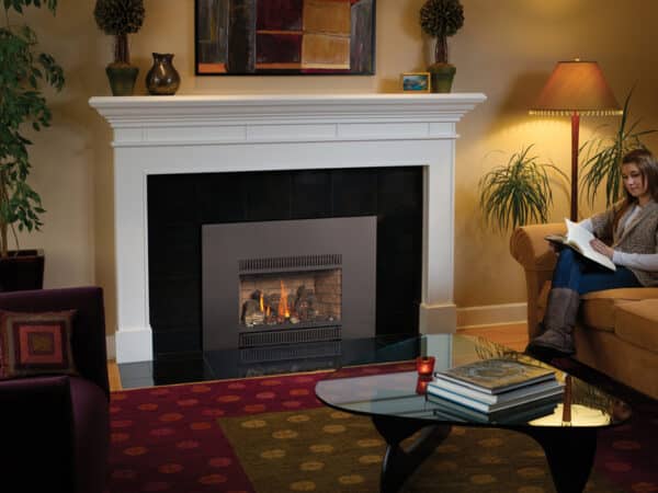 31 DVI Gas Fireplace Insert | Fireplace Xtrordinair